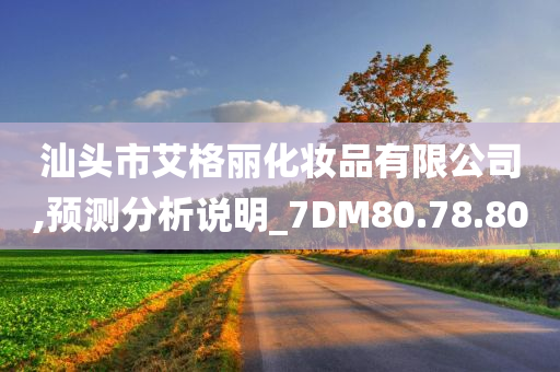 汕头市艾格丽化妆品有限公司,预测分析说明_7DM80.78.80