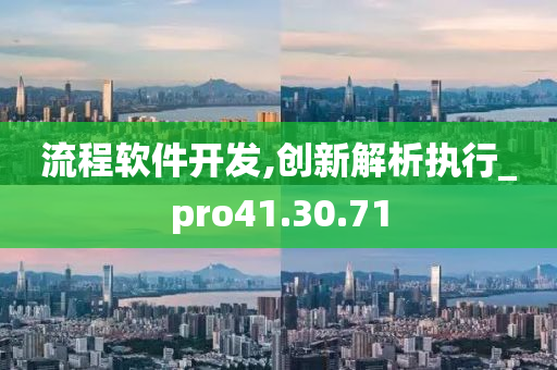 流程软件开发,创新解析执行_pro41.30.71