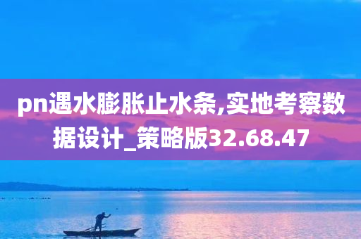 pn遇水膨胀止水条,实地考察数据设计_策略版32.68.47