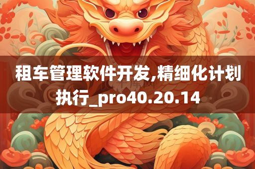 租车管理软件开发,精细化计划执行_pro40.20.14