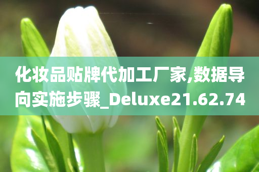 化妆品贴牌代加工厂家,数据导向实施步骤_Deluxe21.62.74