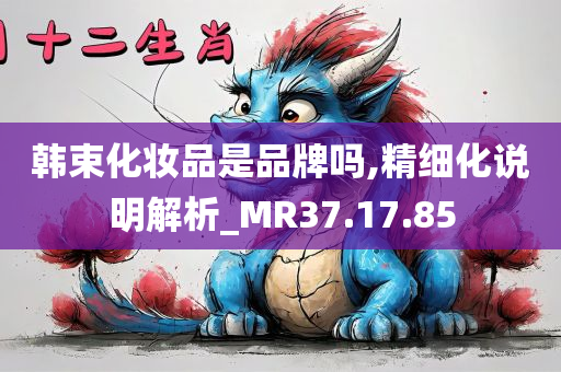 韩束化妆品是品牌吗,精细化说明解析_MR37.17.85