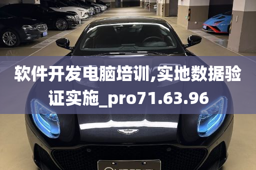 软件开发电脑培训,实地数据验证实施_pro71.63.96