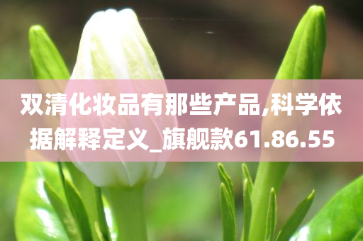 双清化妆品有那些产品,科学依据解释定义_旗舰款61.86.55