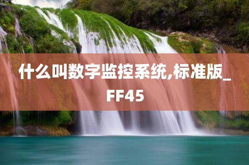 什么叫数字监控系统,标准版_FF45