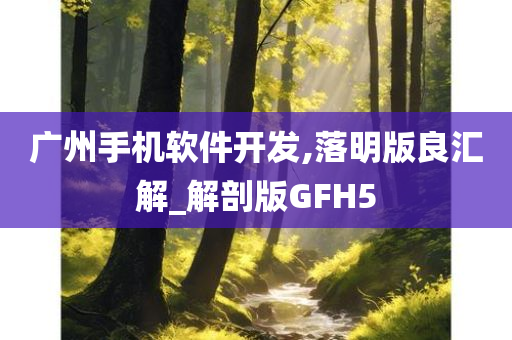 广州手机软件开发,落明版良汇解_解剖版GFH5