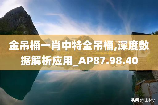 金吊桶一肖中特全吊桶,深度数据解析应用_AP87.98.40