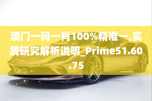 澳门一码一肖100%精准一,实践研究解析说明_Prime51.60.75