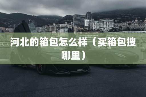 河北的箱包怎么样（买箱包搜哪里）