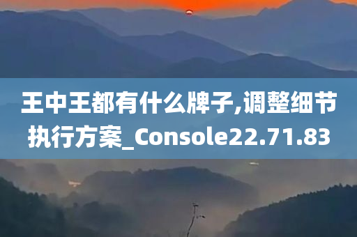 王中王都有什么牌子,调整细节执行方案_Console22.71.83