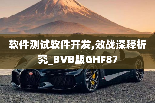 软件测试软件开发,效战深释析究_BVB版GHF87