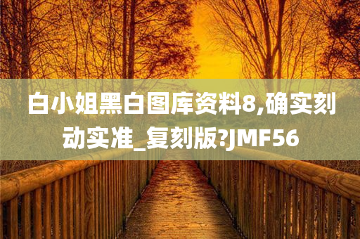 白小姐黑白图库资料8,确实刻动实准_复刻版?JMF56