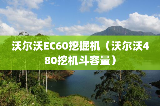 沃尔沃EC60挖掘机（沃尔沃480挖机斗容量）