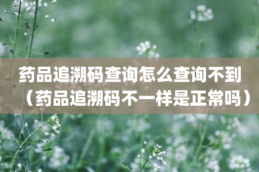 药品追溯码查询怎么查询不到（药品追溯码不一样是正常吗）