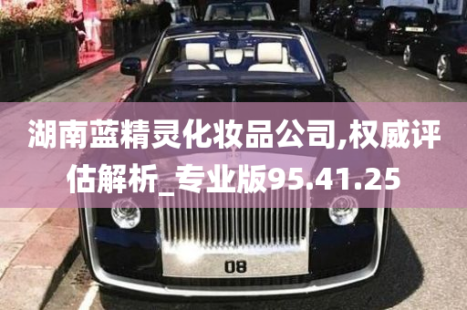 湖南蓝精灵化妆品公司,权威评估解析_专业版95.41.25