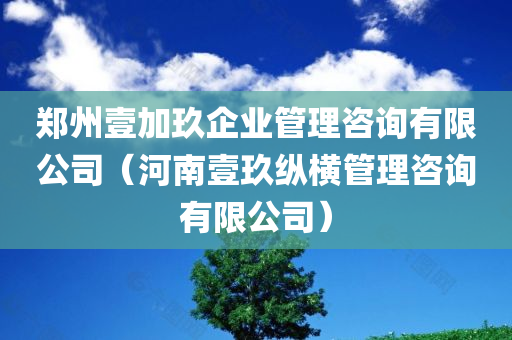 郑州壹加玖企业管理咨询有限公司（河南壹玖纵横管理咨询有限公司）