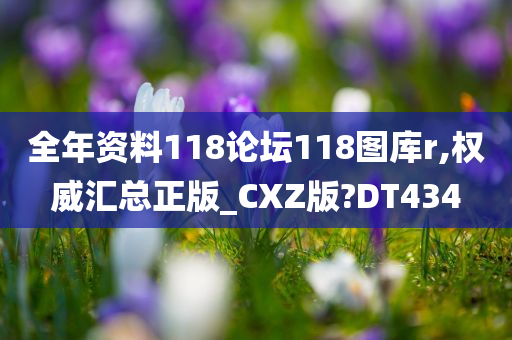 全年资料118论坛118图库r,权威汇总正版_CXZ版?DT434