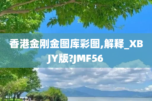 香港金刚金图库彩图,解释_XBJY版?JMF56