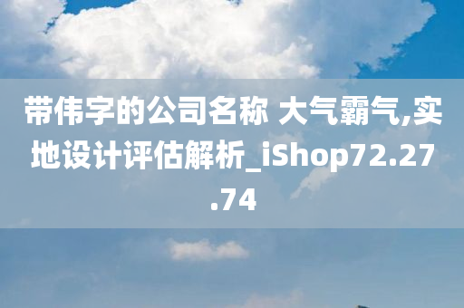 带伟字的公司名称 大气霸气,实地设计评估解析_iShop72.27.74