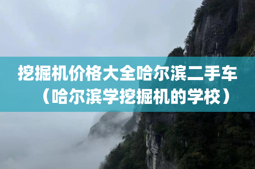 挖掘机价格大全哈尔滨二手车（哈尔滨学挖掘机的学校）