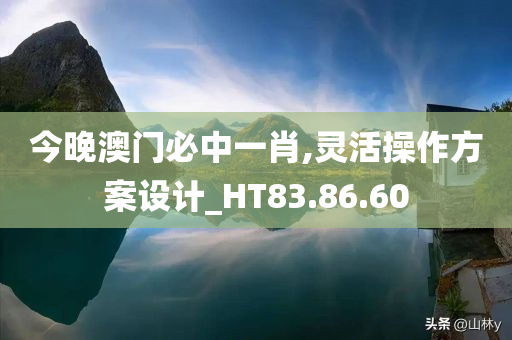 今晚澳门必中一肖,灵活操作方案设计_HT83.86.60