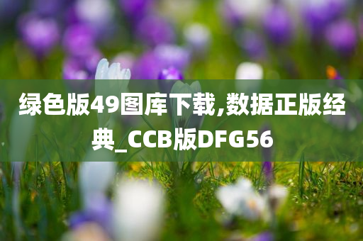 绿色版49图库下载,数据正版经典_CCB版DFG56