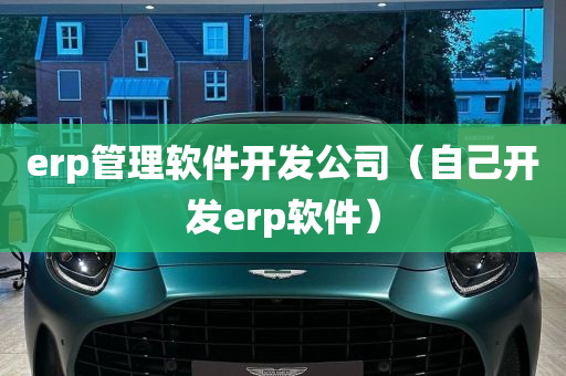 erp管理软件开发公司（自己开发erp软件）