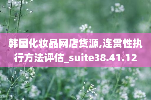 韩国化妆品网店货源,连贯性执行方法评估_suite38.41.12