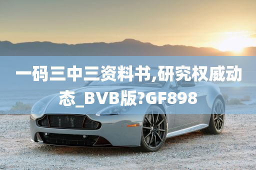 一码三中三资料书,研究权威动态_BVB版?GF898