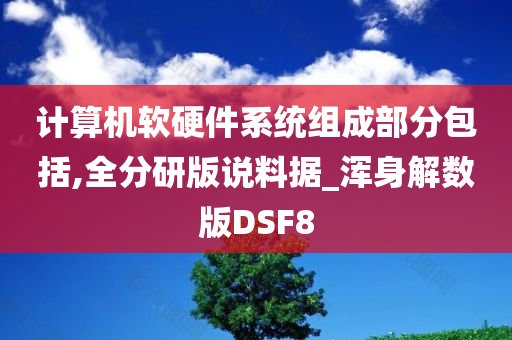 计算机软硬件系统组成部分包括,全分研版说料据_浑身解数版DSF8