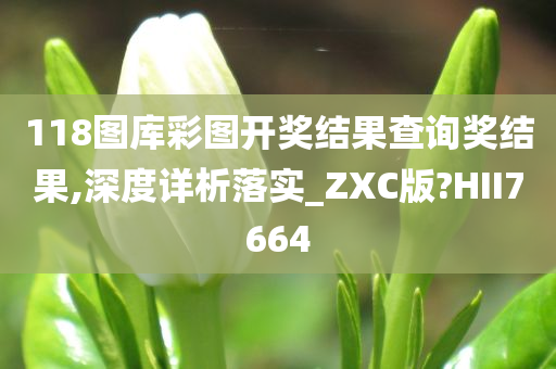 118图库彩图开奖结果查询奖结果,深度详析落实_ZXC版?HII7664