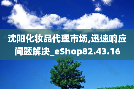 沈阳化妆品代理市场,迅速响应问题解决_eShop82.43.16