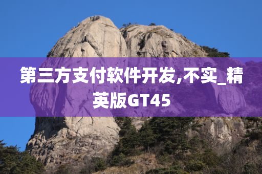 第三方支付软件开发,不实_精英版GT45