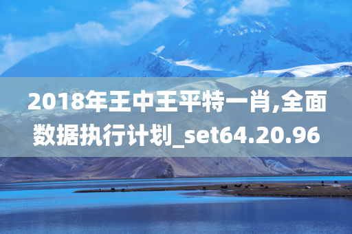 2018年王中王平特一肖,全面数据执行计划_set64.20.96