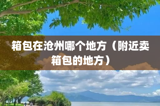 箱包在沧州哪个地方（附近卖箱包的地方）