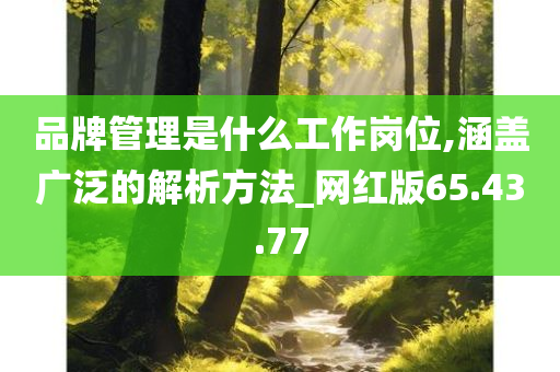 品牌管理是什么工作岗位,涵盖广泛的解析方法_网红版65.43.77