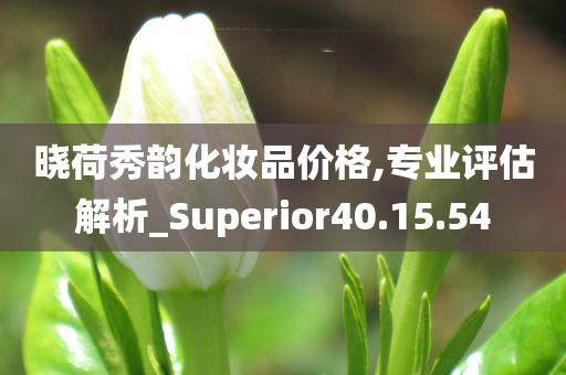 晓荷秀韵化妆品价格,专业评估解析_Superior40.15.54