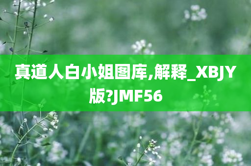 真道人白小姐图库,解释_XBJY版?JMF56