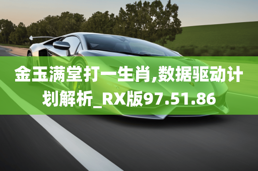 金玉满堂打一生肖,数据驱动计划解析_RX版97.51.86