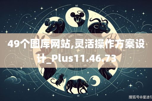 49个图库网站,灵活操作方案设计_Plus11.46.73