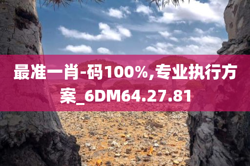 最准一肖-码100%,专业执行方案_6DM64.27.81