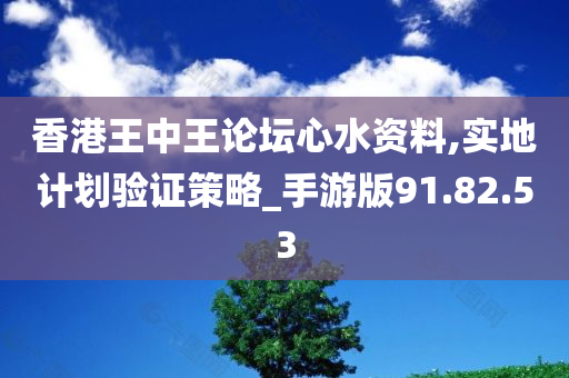 香港王中王论坛心水资料,实地计划验证策略_手游版91.82.53