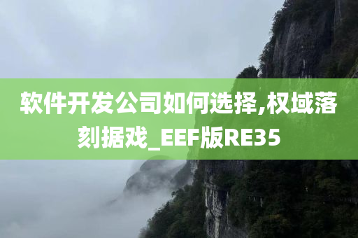 软件开发公司如何选择,权域落刻据戏_EEF版RE35