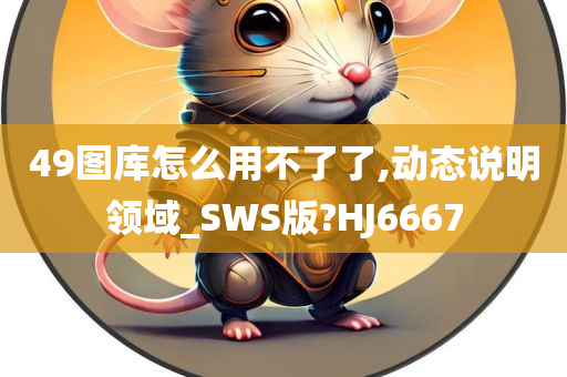 49图库怎么用不了了,动态说明领域_SWS版?HJ6667