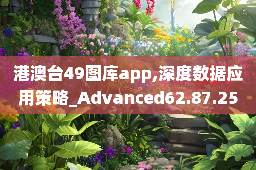 港澳台49图库app,深度数据应用策略_Advanced62.87.25