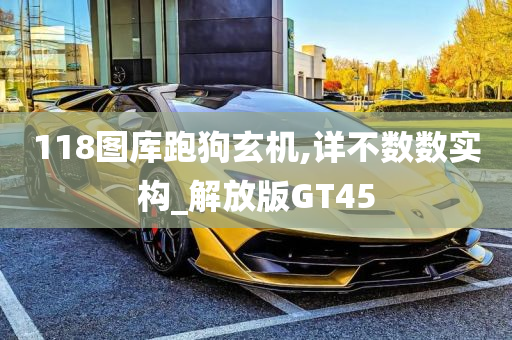 118图库跑狗玄机,详不数数实构_解放版GT45