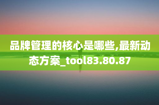 品牌管理的核心是哪些,最新动态方案_tool83.80.87