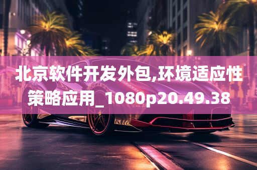 北京软件开发外包,环境适应性策略应用_1080p20.49.38