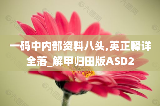 一码中内部资料八头,英正释详全落_解甲归田版ASD2