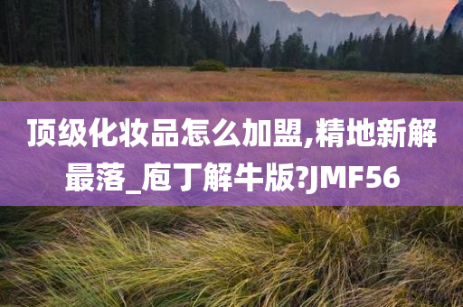 顶级化妆品怎么加盟,精地新解最落_庖丁解牛版?JMF56